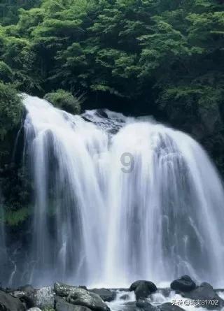 愤怒的小鸟